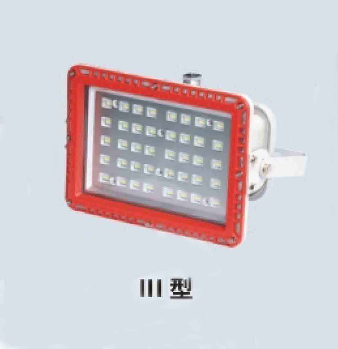 BZD168-01防爆免维护LED泛光灯